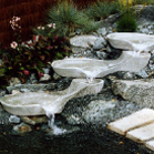 Ovella
