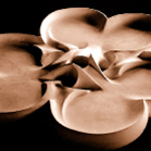 Shamrock